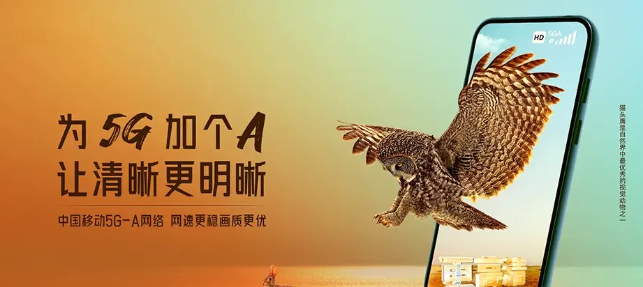 西秀西秀区轿子山镇 移动宽带